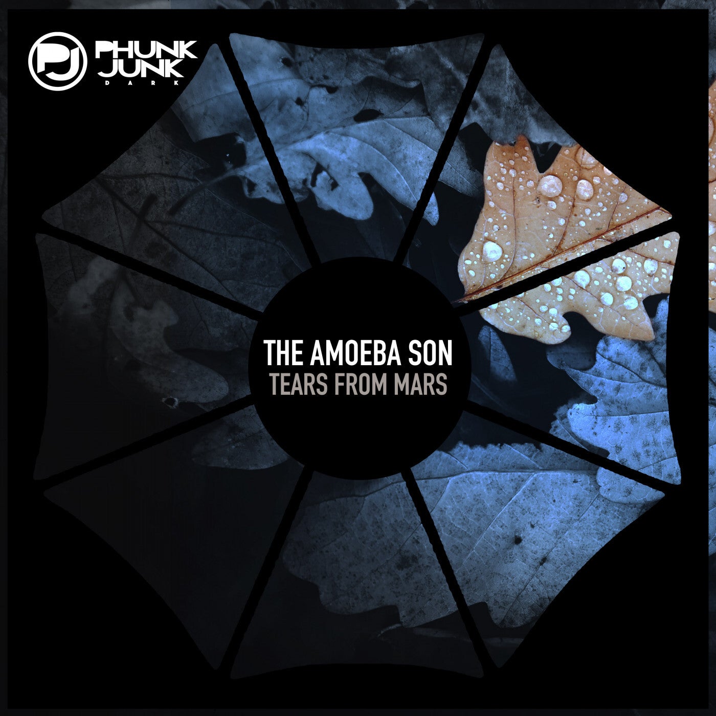 The Amoeba Son – Tears From Mars [PJD074]